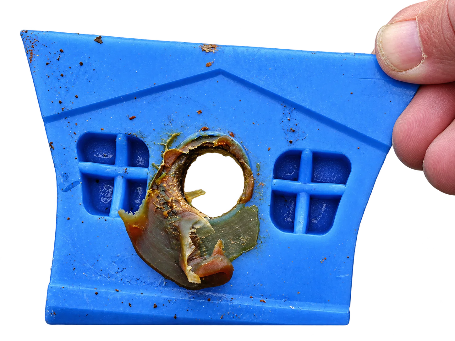 Gros plan sur un moule en silicone bleu en forme de maison